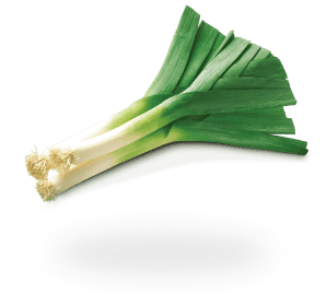 Leek