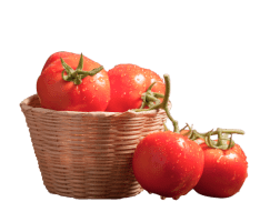 Tomato basket